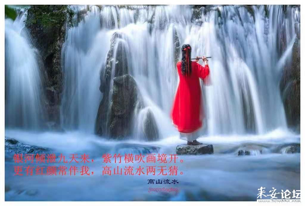 植物大战僵尸16